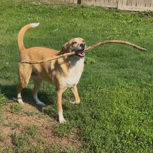 ๐ Small Fish Crafts Shenanigans: HOโS NO THEME HALLOWEEN Share Show Today ๐ - Picture 9 of 11